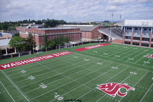 爱游戏在线娱乐官网-篮球专项技能训练课程体系优化与实践，篮球专项技能训练课程体系优化与实践研究