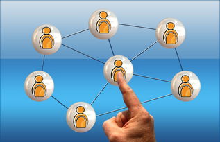 爱游戏全站app注册-高校体育课程多样化选择机制研究，高校体育课程多样化选择机制研究现状