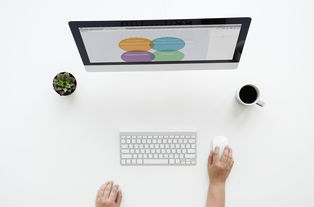 爱游戏体育（AYX）官方APP下载-乒乓球训练视频分析系统上线使用，乒乓球技术录像