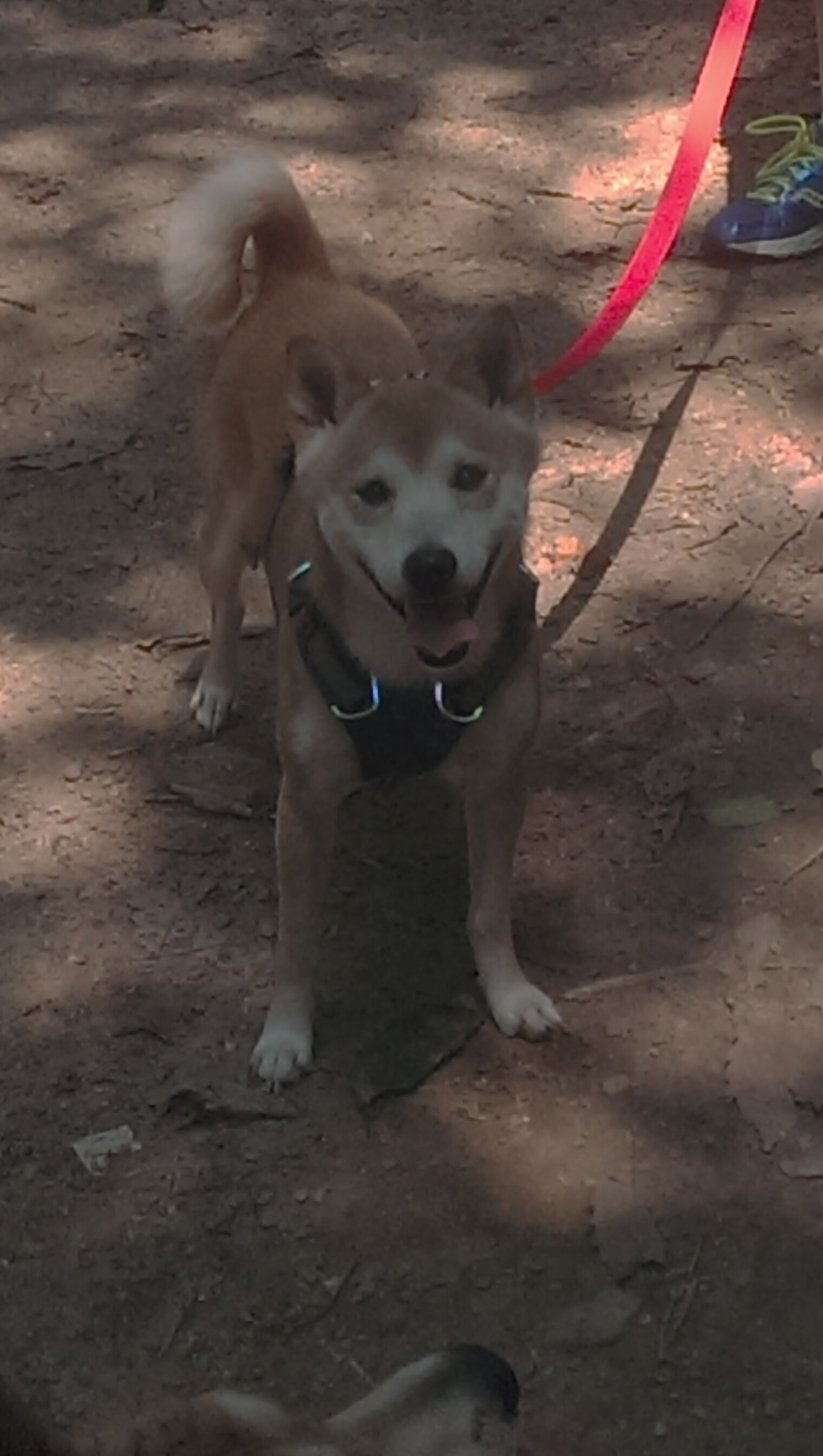 爱游戏官方主页-基层足球场地资源严重短缺,建立足球场地国家有补助么 第3张 爱游戏官方主页-基层足球场地资源严重短缺,建立足球场地国家有补助么 第3张