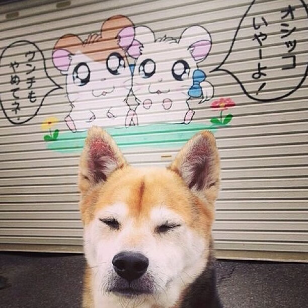 爱游戏娱乐-弗赖堡整体防守提高限制射门空间，弗赖堡位置