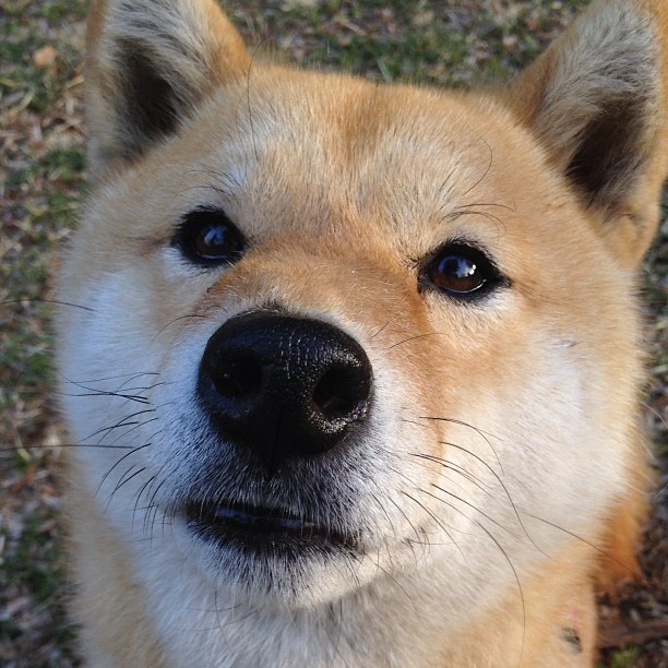 爱游戏官方主页-世界杯逆转佳话：英雄逆袭，完美终结！，世界杯大逆转